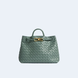 보테가 베네타 미디엄 안디아모 백 알로에